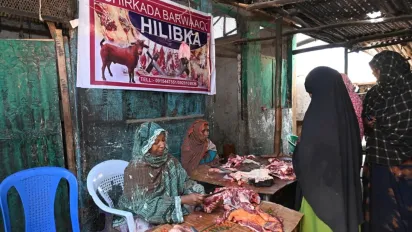 Somali woman cutting meat in her butchery business in Ethipia