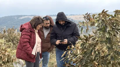  Farmer, consultant, and agritech provider reviewing irrigation system performance via the mobile application.