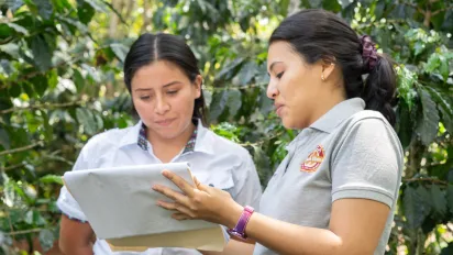 Nueva publicación de la OIT destaca habilidades clave para transformar la cadena de valor del café en Honduras