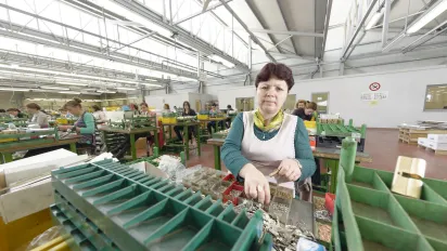 A woman works at an assembly station in a manufacturing facility, sorting small metal components into compartmented trays. In the background, other workers — mostly women — are seated at green workbenches engaged in similar tasks. The facility is well-lit with a large industrial roof structure overhead.