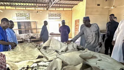 Des participants visitent un atelier de traitement des cuirs et peaux au Niger, autour de grandes pièces de cuir disposées sur des tables de travail.
