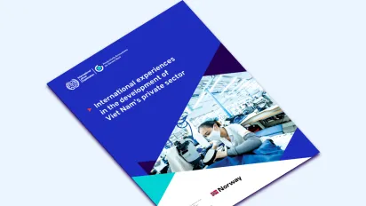 International experiences in the development of Viet Nam’s private sector