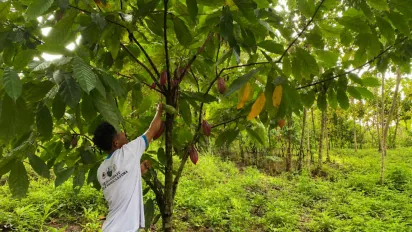A man standing under the tree