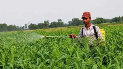 ILO calls for stronger prevention and workplace chemical risk management, guided by international labour standards, to protect workers from hazardous chemical exposure in Nepal.