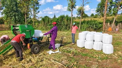 Workers at Nduwa Farms process and package silage into bales in Nakuru County