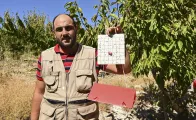 Farmer Sami Harika demonstrating the benefits of the fly trap. Wadi Al Arayesh, Lebanon, August 2025.