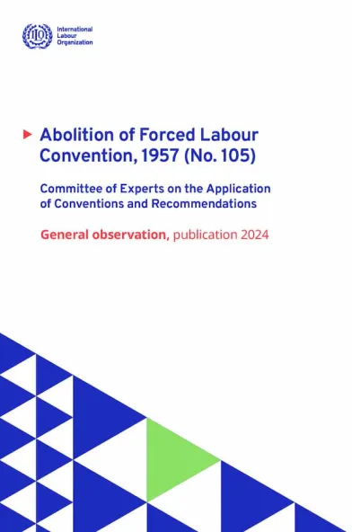 Social Security (Minimum Standards) Convention, 1952 (No. 102) General observation