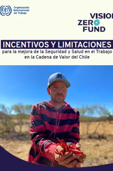 Portada incentivos chile