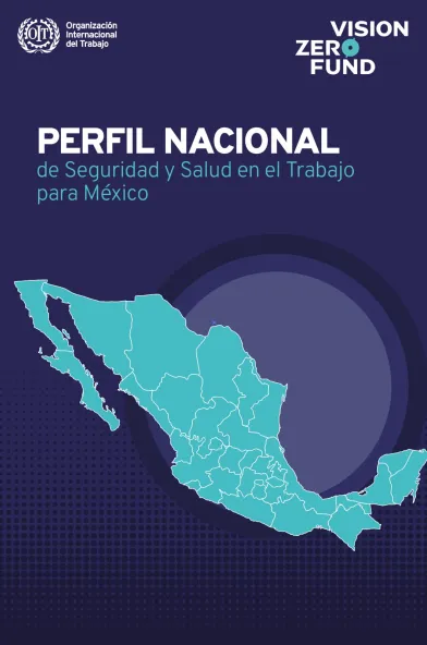 perfil nacional sst mex