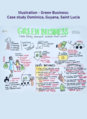 Cover for publication Illustration - Green Business: Case study Dominica, Guyana, Saint Lucia