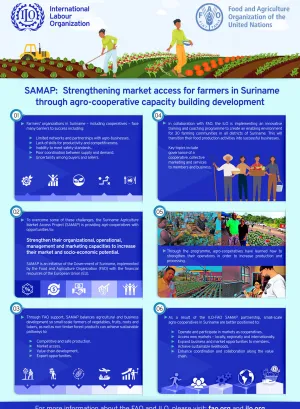 Infographic for publication SAMAP: Strengthening market access for farmers in Suriname through agro-cooperative capacity building development