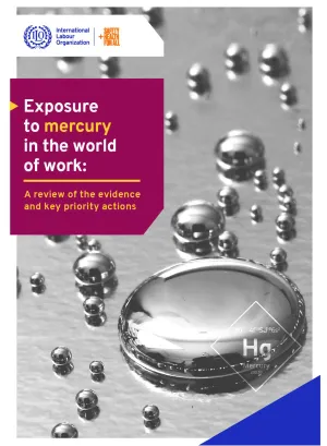Exposure to Mercury in the world of work - A review of the evidence and key priority actions