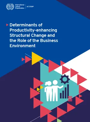 cover-Determinants of Productivity-enhancing