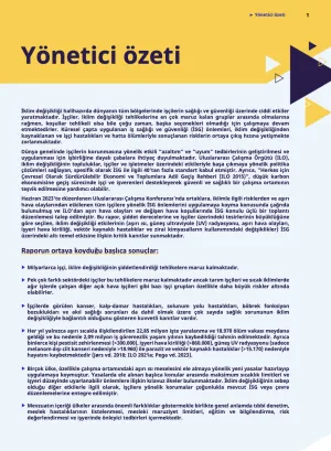 Yönetici özeti kapak görseli