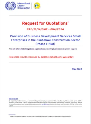  Cover image - Provision of business development