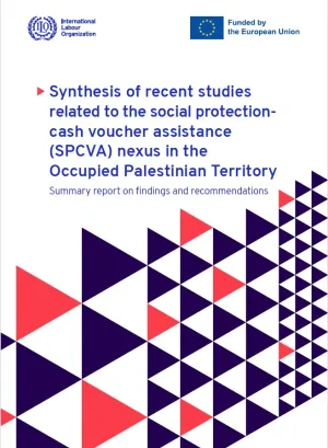 publication cover page- OPT