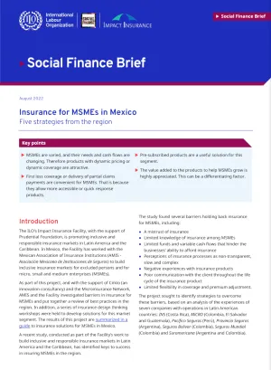 Cover for publication: "Social Finance Brief: Insurance for MSMEs in Mexico"