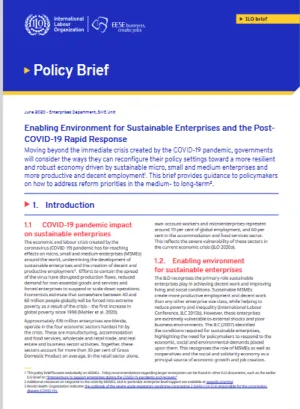  Cover image - Enabling environment for sustainable enterprises