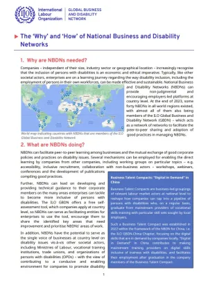 "The 'Why' and 'How' of National Business and Disability Networks" in blue text on the top. A mapping of the NBDNs in the world in the middle. 