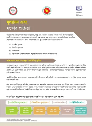Guidelines on undertaking the assessment and remediation process in Bangla