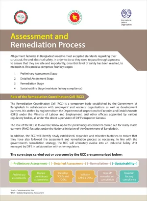 Guidelines on undertaking the assessment and remediation process