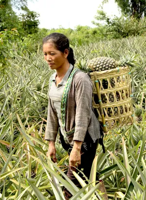 Farmer in Lao People's Democratic Republic