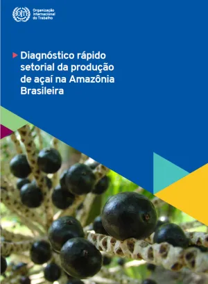 Diagnóstico rápido setorial da produção de açaí na Amazônia Brasileira