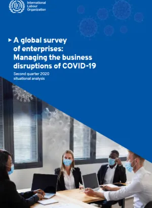 Cover image - A global survey of enterprises