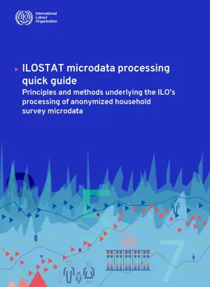 Cover for Quick guide on Microdata processing