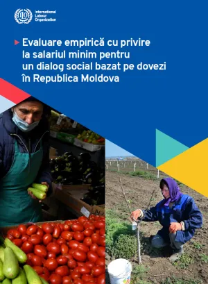 An empirical assessment of the minimum wage report RO