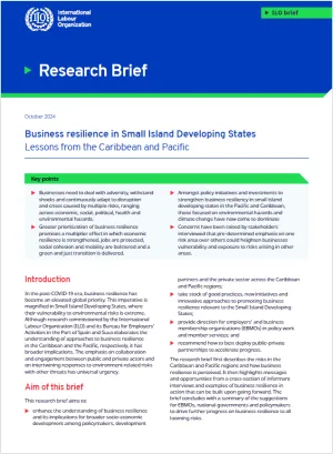 Brief Business resilience in Small Island Developing States
