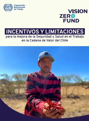 Portada incentivos chile