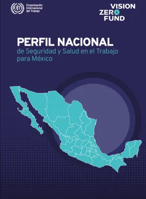 perfil nacional sst mex