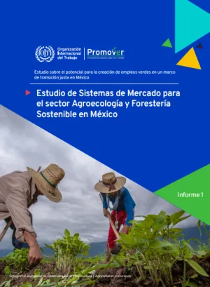 Estudio de Sistemas de Mercado para el sector Agroecología y Forestería Sostenible en México - Estudio sobre el potencial para la creación de empleos verdes en un marco de transición justa en México 