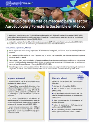 Estudio de sistemas de mercado para el sector Agroecología y Forestería Sostenible en México