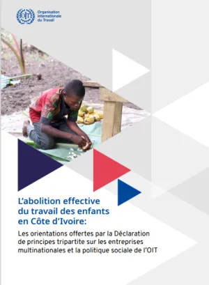 cover image - the effective abolition.