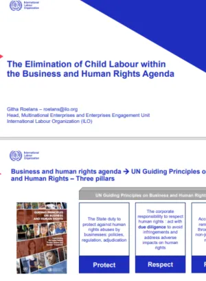 cover image - the elimination of child labour