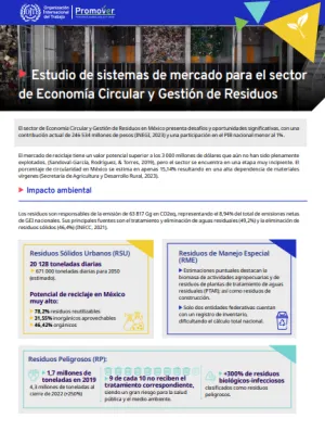 Estudio de sistemas de mercado para el sector de Economía Circular y Gestión de Residuos