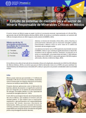 Estudio de sistemas de mercado para el sector de Minería Responsable de Minerables Críticos en México