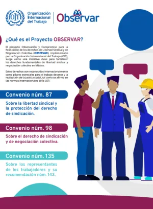 ¿Qué es el Proyecto OBSERVAR?
