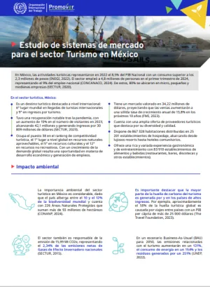 Estudio de sistemas de mercado para el sector Turismo en México