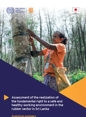cover of the report showing a woman tapping a rubber tree