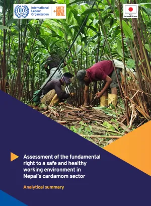 cover of the report showcasing workers harvesting cardamom plants