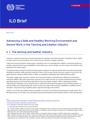 Cover tanning - Advancing a Safe and Healthy Working Environment and Decent Work in the Tanning and Leather Industry