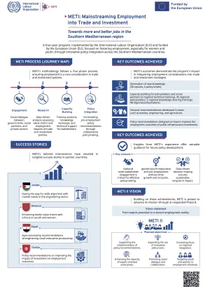 METI Infographic global