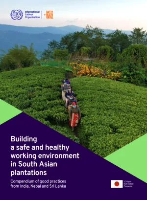 Cover showing a drone image from a tea plantation field at sunset
