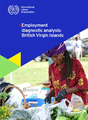 Publication cover on employment diagnostic analysis for the BVI