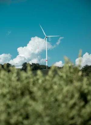 Wind turbine with blue sky in the background and greens on the foreground 