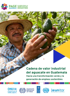 Portada del estudio Cadena de valor industrial del aguacate en Guatemala
