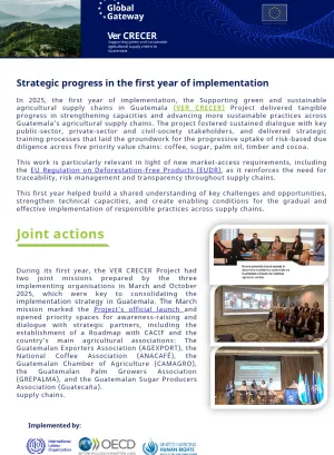 Strategic progress in the first year of implementation